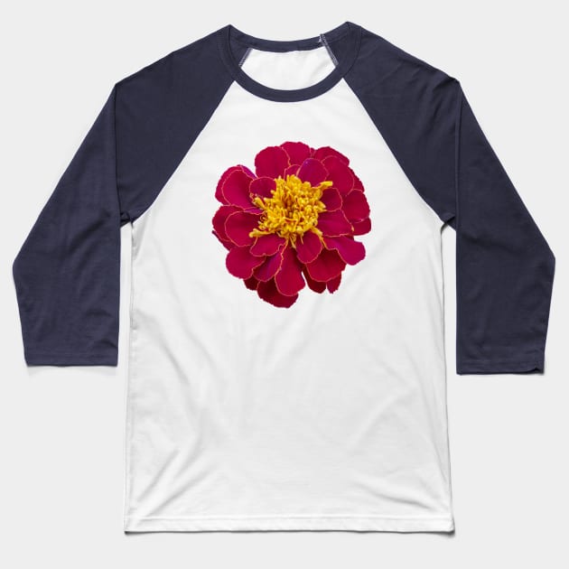 Red Marigold Floral Photo Baseball T-Shirt by ellenhenryart